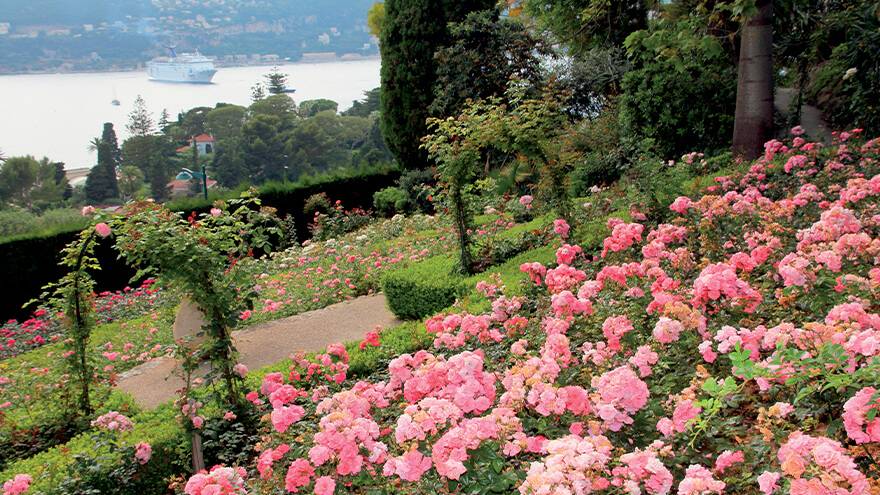 Grand jardin en Provence Alpes Côte d'Azur