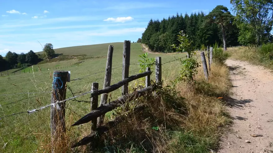 Campagne Yzeron © Jeanne Menjoulet _ Flickr