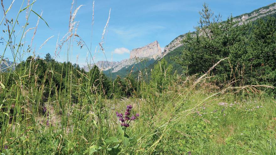 Paysage Drôme