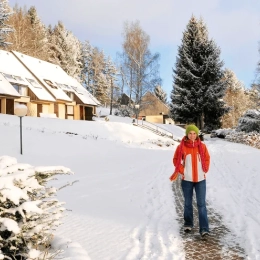 VTF Les Fougères en famille Soultzeren