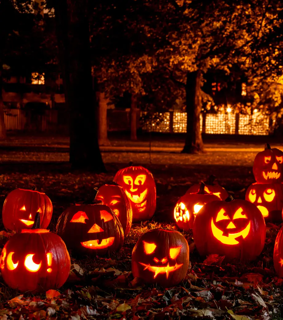 Les vacances de la Toussaint