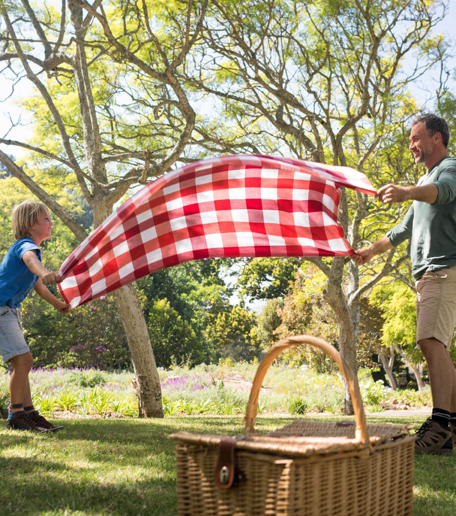 /picnic